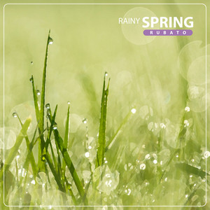 Rainy Spring