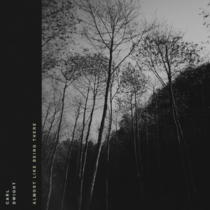 Almost Like Being There by Carl Dwight