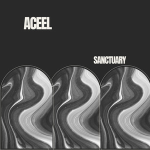 Sanctuary (Radio Edit) by Aceel