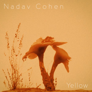 Yellow by Nadav Cohen, YKATI