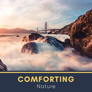 # 1 A 2019 Album: Comforting Nature album