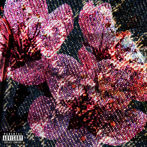 7RAIN by EC