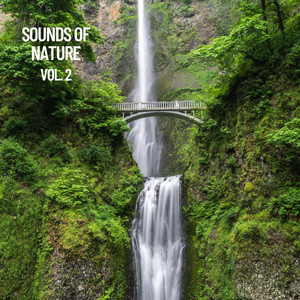 Sounds of Nature Vol. 2, Sounds of Nature Noise album