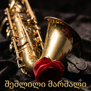 შეშლილი მარშალი by Lali Gordzamashvili