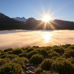 Tiago Emanuel - No More Chains