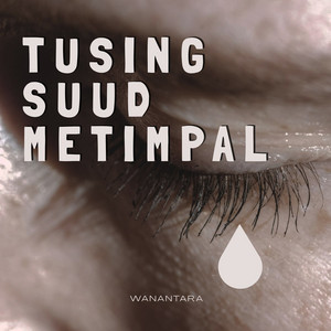 Tusing Suud Metimpal by Wanantara