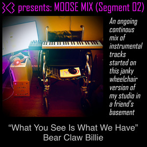 What You See Is What We Have by Bear Claw Billie