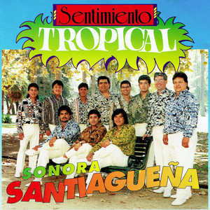 Esta Noche Quiero Brandy by Sonora Santiagueña