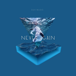 D2H Music - Never Again