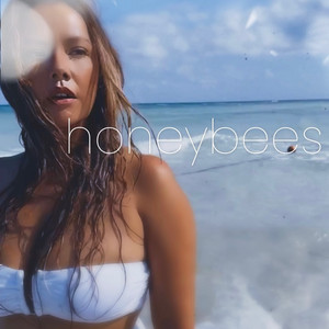 Honeybees by Ger Carriere