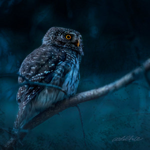 Older But Wiser by ædeltræ