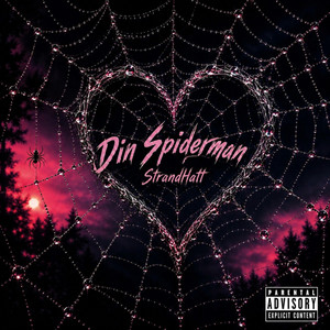 Din Spiderman by StrandHatt