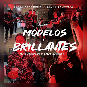 Entre Modelos y Brillantes
