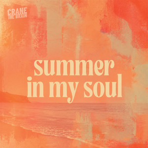 Summer in my soul - Radio Edit by crane the brain