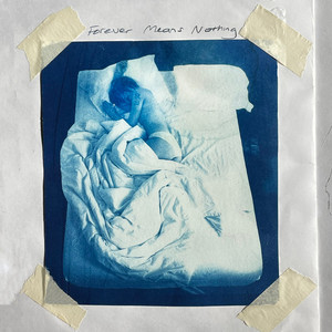 Forever Means Nothing by Lola Blue