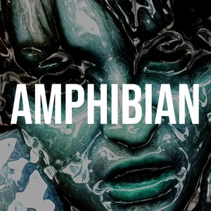 Morphey — Amphibian