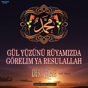 Gül Yüzünü Rüyamızda (Enstrümantal)