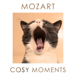 Mozart Cosy Moments album