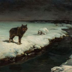 a wolf in sheeps skin by hoodieslut