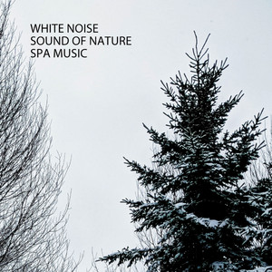 White Noise: Sound Of Nature Spa Music album
