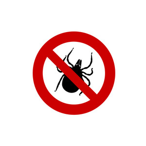 Tick by Eyo?