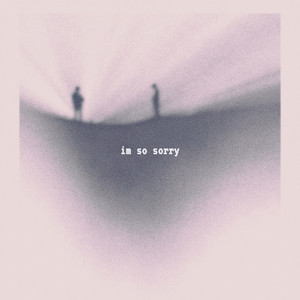 im so sorry by jxshua bae