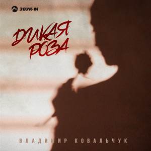 Дикая роза by Владимир Ковальчук