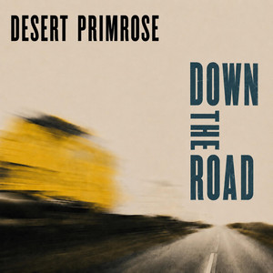 Down The Road by Desert Primrose