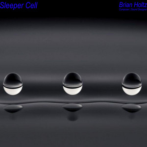Sleeper Cell by Brian Holtz