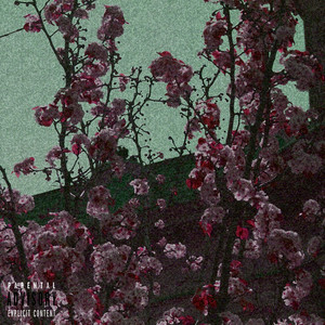 Portada de Changes