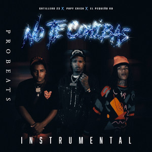 No Te Cohíbas - Instrumental by Aran, Gatillero 23, Papy Crish, El Pequeño RD, PROBEATS