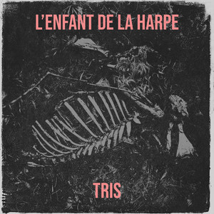 L’enfant de la harpe by Tris, Sean Bridon