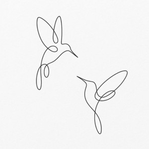 Hummingbird by Aether Fragment