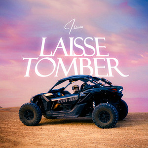 Laisse Tomber by Iliana