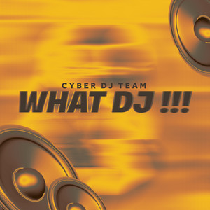 Cyber DJ Team - What Dj !!!