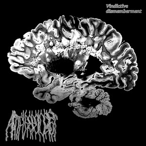 Vindictive Dismemberment (demo)