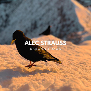 Drawn to Dawn by Alec Strauss