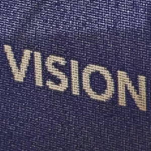 Portada de VISION