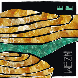 We Cannot Complain by Wezn