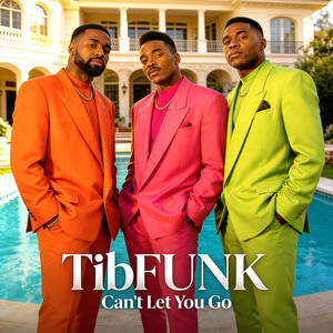 Can't Let You Go by TibFUNK