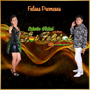 Edwin Vidal y su Grupo Los Felidos de Bolivia - Hay mi corazón (Chicha)