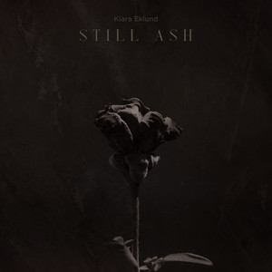 Still Ash by Klara Eklund