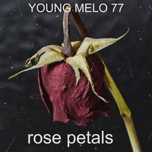 Rose Petals by Young Melo 77