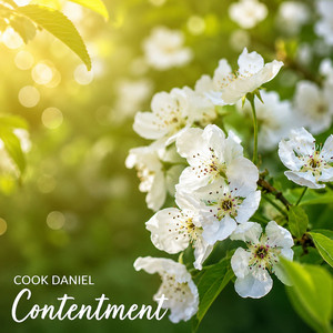 Contentment by Cook Daniel