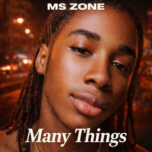 MS ZONE - Many Things
