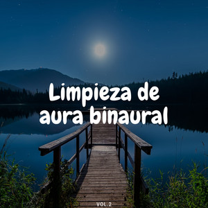 Limpieza de aura binaural Vol.2 album
