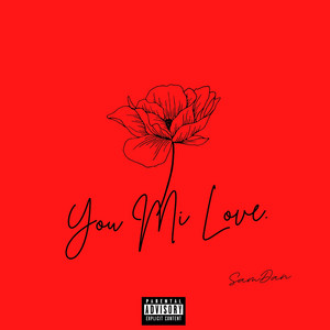 You Mi Love by SamDan