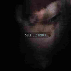 SELF DESTRUCT by v4mpirz, w1fiangel