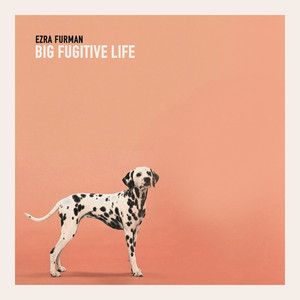 Teddy I'm Ready by Ezra Furman