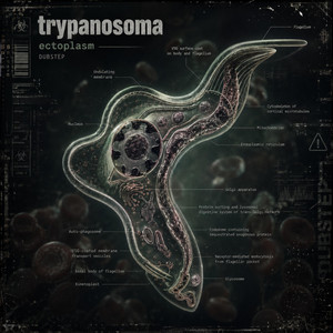 Trypanosoma by ECTOPLASM